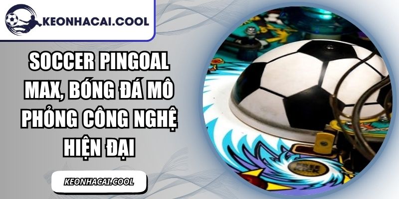 Soccer Pingoal Max