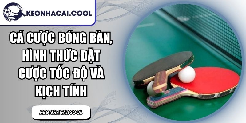 Cá Cược Bóng Bàn