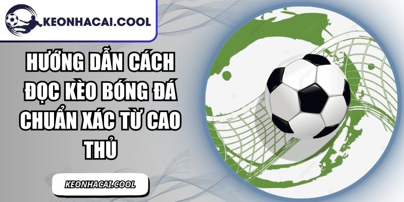 Hướng Dẫn Cách Đọc Kèo Bóng Đá